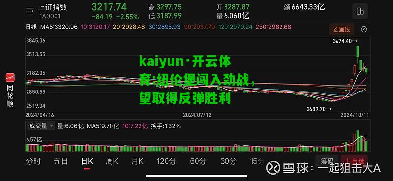 kaiyun·开云体育:纽伦堡闯入劲战，望取得反弹胜利